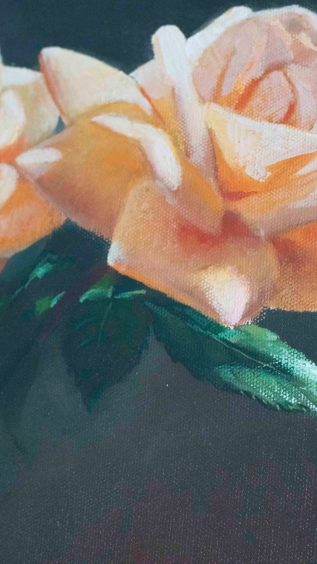 Roses After Dark — view 2