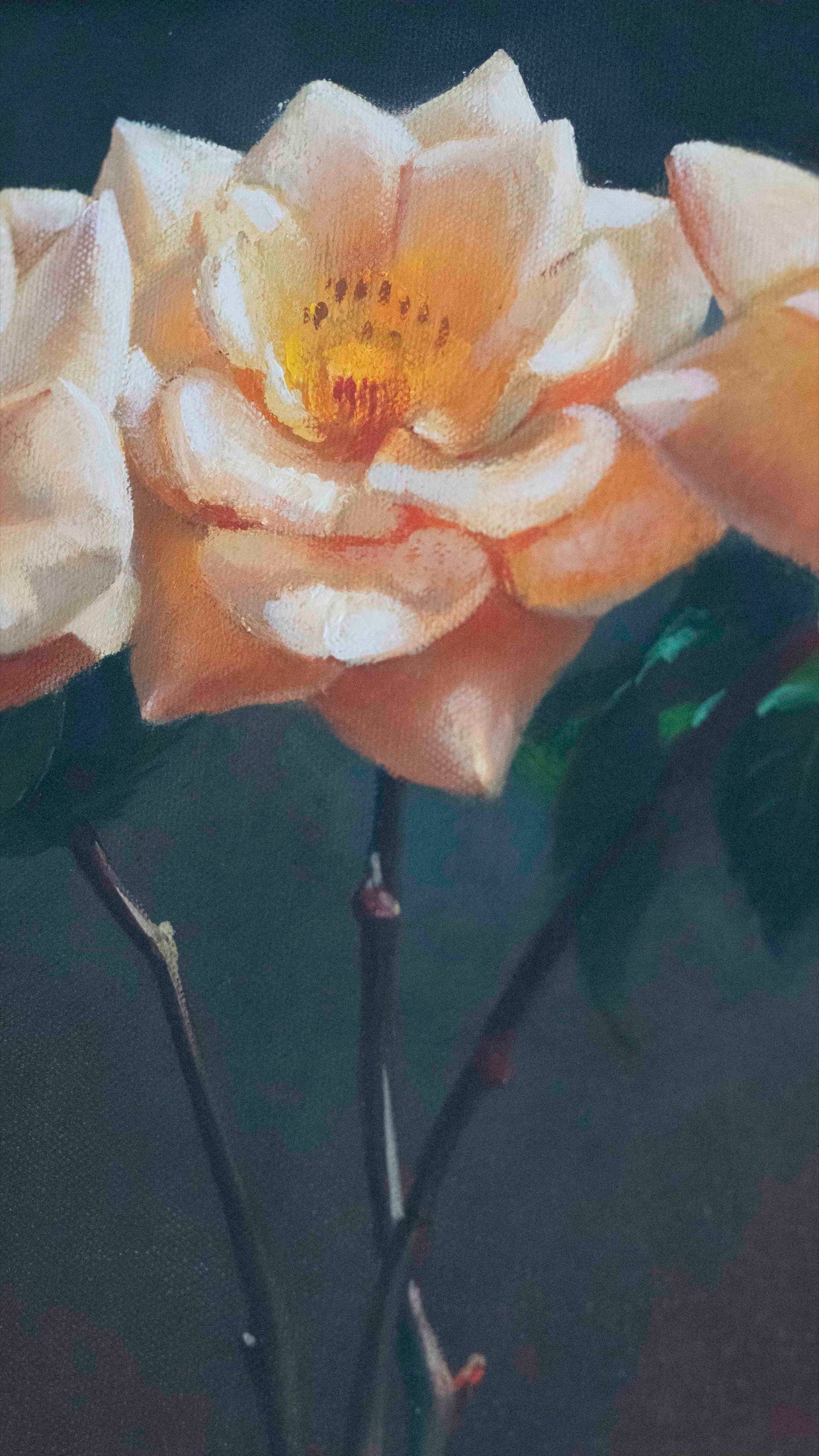 Roses After Dark — view 4